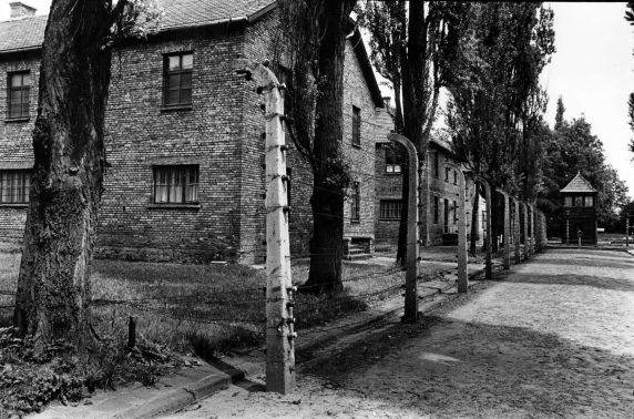 (1763) Electrified Fences, Auschwitz, Poland, 1983