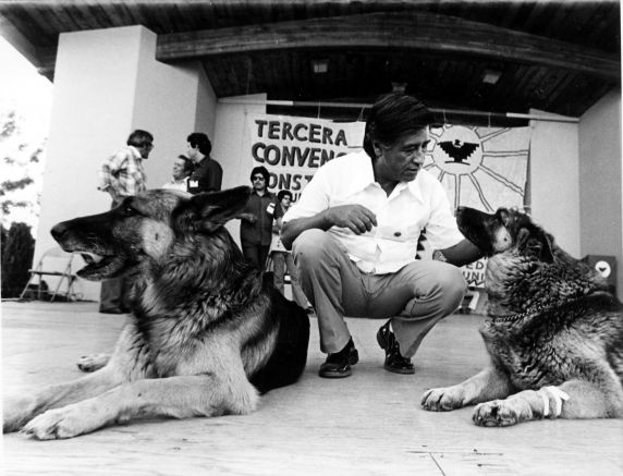 (216) Cesar Chavez, Dogs, c. mid 1970s