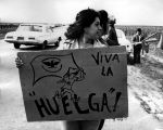 (240) Demonstration, Coachella Strike, Coachella Valeey, California, c. 1970s
