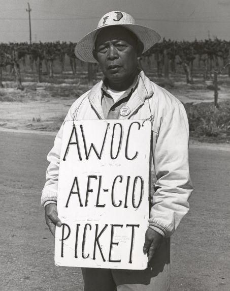(256) Pickets, AWOC, Grape Strike, California, 1966