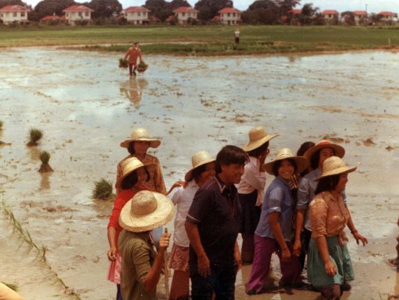(271) Cesar Chavez, Philippines, Rice Field, 1977