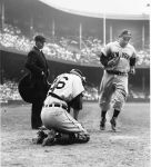 (3059) Sports, Baseball, Detroit Tigers, New York Yankees, Berra, Ginsberg, 1951