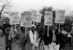 (30856) Service Employees Against Apartheid, Washington, D.C., 1985