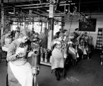 (32179) Women, War Workers, Munitions, Detroit, 1918