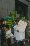 (32812) AFSCME convention delegates participate in rally, 1996