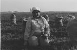 (335) A female farm worker in the field