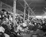 (33644) Salvage, Clothing, Detroit, 1945
