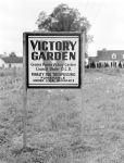 (33648) Food Conservation, Victory Gardens, Grosse Pointe, 1943