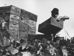 (337) A farm worker stacks crates of harvested grapes