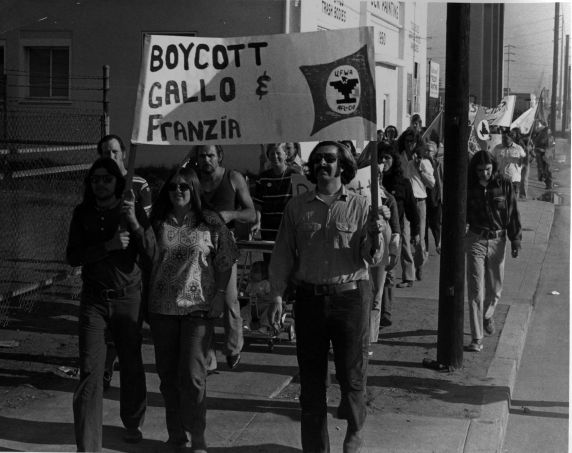 Walter P. Reuther Library (3696) Gallo Boycott, rally