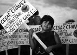 (3824) Children, Pickets, Grape Boycott, 1968