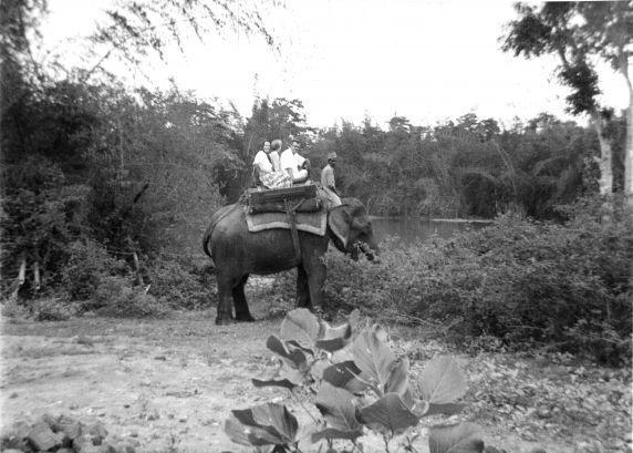 (38395) Dr. Rice, Dr. Reid Rice, India, 1950s