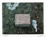 (45974) Grave marker of "Little Mary" Jackson Michigan 1970