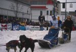 (46797) AFSCME member, Alaska, Iditarod Race