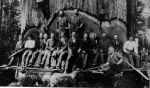 (5017) Lumber Industry, Workers, Califrnia, 1910s