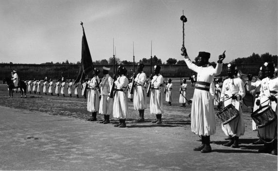 (9150) Senegalese Soldiers, Honor Guard, Rabat, Morocco, 1946