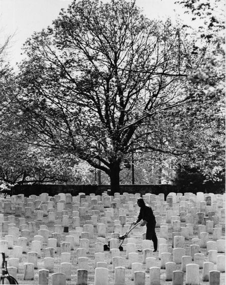 Cemetery worker, 1982