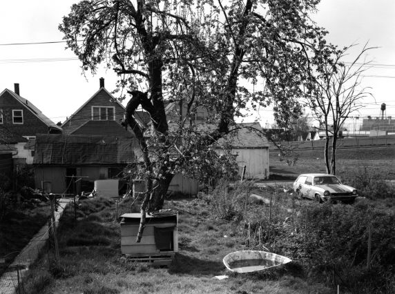 (WSAV002727_083) Neighborhood Views, Adele Street, Poletown, April 1981