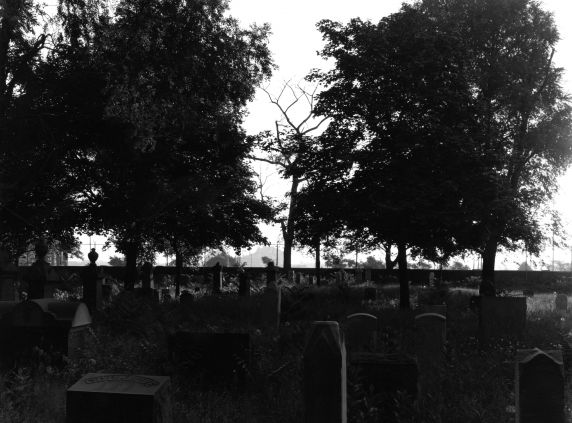 (WSAV002727_167) Beth Olem Cemetery, Hamtramck, 1981