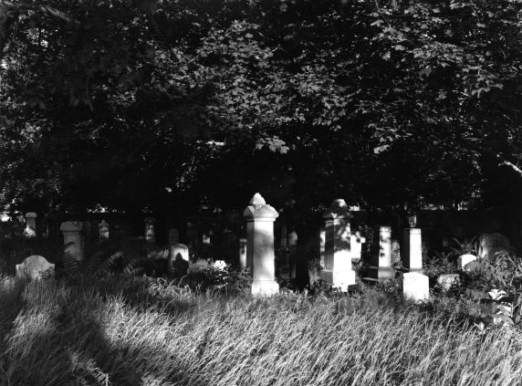 (WSAV002727_169) Beth Olem Cemetery, Hamtramck, 1981