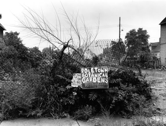 (WSAV002727_186) Poletown Botanical Garden, demolition, 