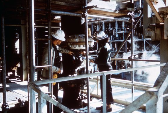 (31060) Woman Engineer, At Work, Circa 1960s