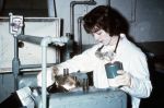 (31086) Mary Larimer, At Work, Circa 1960s