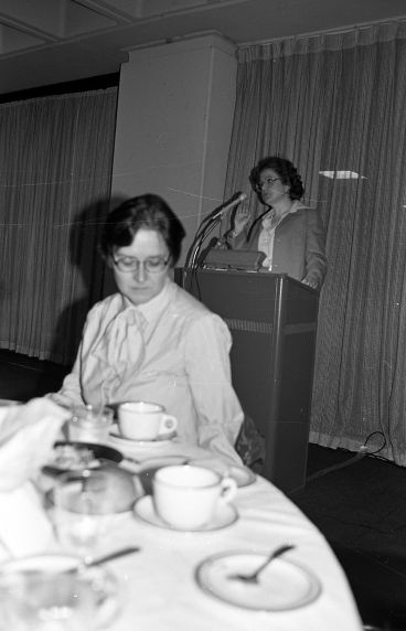 (31661) SWE Boston / AMITA Conference, Cambridge, Massachusetts, 1981