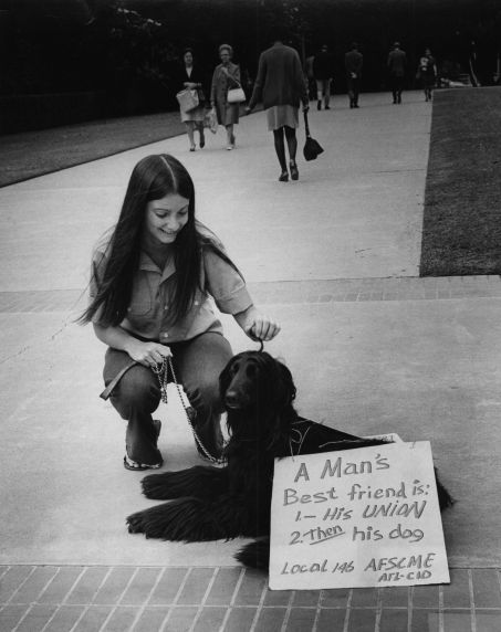 (7694) Dog protests, California
