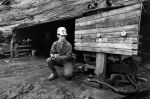 (12042) AFSCME Mine Worker